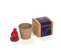 Graine Astral - Nature & Découvertes : Les cultures zodiacales à faire pousser - Scorpion