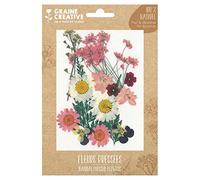 GRAINE CREATIVE 16 Fleurs pressées - Prairie Rose