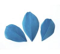 Plumes coupées - GRAINE CREATIVE - Turquoise - 50 pièces - 4-10 cm - Naturelles