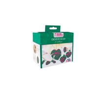 Graine Créative Kit Bijoux L'exotique