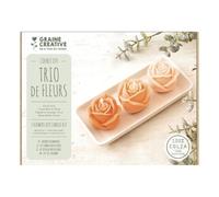GRAINE CREATIVE KIT DIY - Coffret trio de fleurs