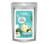 GRAINE CREATIVE Kit Fimo tortue