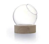 GRAINE CREATIVE Vase Globe avec Socle en Bois Ø13cm