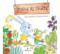 Graine de carotte