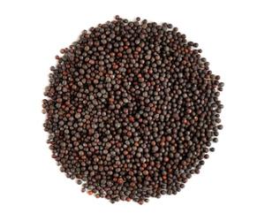 Graine De Moutarde Noir Bio - Graines De Moutardes Noire 700g