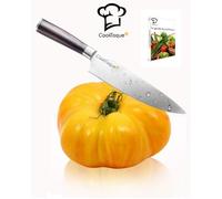 graine de tomate ANANAS légume BIO + livre gratuit 15 graines de tomates certifié permaculture CookToque®