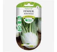 Graine fenouil romanesco BIO Les Doigts Verts