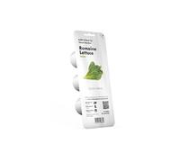 Generique Graines Laitue romaine Click & Grow Smart Garden - lot de 3 semis