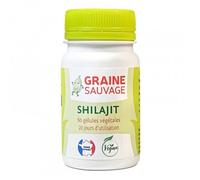 Graine Sauvage Shilajit 60 gélules