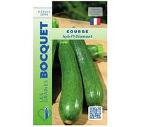 Graine - Semence - Courge Diamant HYBRIDE F1