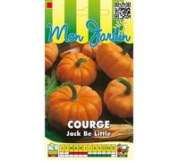 Graine - Semence - Courge Jack Be Little