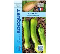 Graine - Semence - Courge Longue de Nice