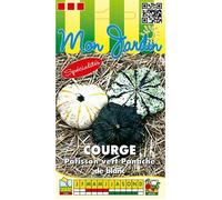 Graine - Semence - Courge Pâtisson vert panaché de blanc