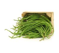 Graine - Semence - Haricot à rames Kilomètre Dolique