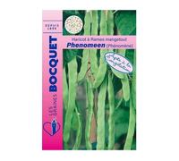 Graine - Semence - Haricot à rames mangetout Phénomène (Phenomeen)