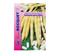 Graine - Semence - Haricot à rames Soissons gros blanc - 100g