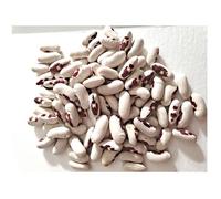 Graine - Semence - Haricot nain à écosser Saint Esprit à œil rouge