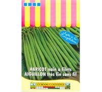 Graine - Semence - Haricot nain à filet Aiguillon - 100g