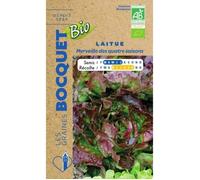 Graine - Semence - Laitue Merveille des 4 saisons- Certifiée ECOCERT FR-BIO-01