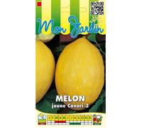 Graine - Semence - Melon Jaune des Canaries
