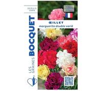 Graine - Semence - Oeillet marguerite Double varié