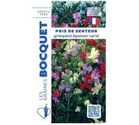 Graine - Semence - Pois de senteur grimpant Spencer varié