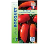 Graine - Semence - Tomate Andine Cornue