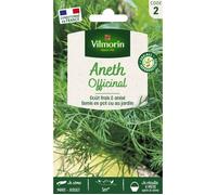 Graine - Vilmorin - Aneth Officinal