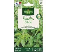 Vilmorin - Graines - Basilic Citron