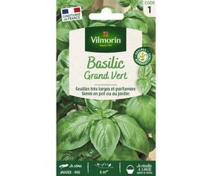 Graine - Vilmorin - Basilic Grand Vert