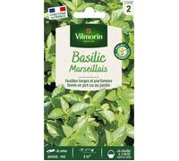 Vilmorin – Pack de graines – Basilic Marseillais – Extrêmement parfumé