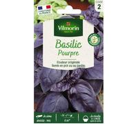 Graine - Vilmorin - Basilic Pourpre