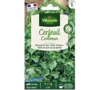 Vilmorin – Cerfeuil commun, Vert, 90 x 2 x 140 cm