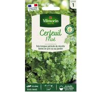 Graine - Vilmorin - Cerfeuil Frisé