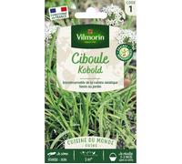 VILMORIN-Graines de ciboule de Chine Kobold Vilmorin - graines à semer