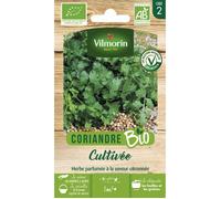 Vilmorin – Semences de coriandre cultivée Bio – Plante aromatique annuelle, saveur citronnée