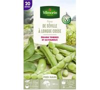 Graine - Vilmorin - Fève de Séville à Longue Cosse - 20 m