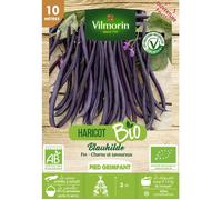 Graine - Vilmorin - Haricot Blauhilde - BIO