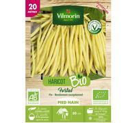 Graines de Haricot Nain beure Fortal BIO - 20 mètres