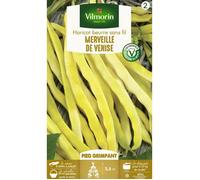 Graine - Vilmorin - Haricot Grimpant Beurre Merveille de Venise