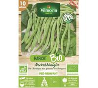 Graines de Haricot vert sans fil NECKARKÖNIGIN BIO 10 mètres