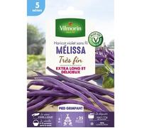 Graine - Vilmorin - Haricot Grimpant Violet Mélissa - 5 m