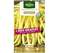 Graine - Vilmorin - Haricot Nain Beurre Goussdor + 20 g Offert