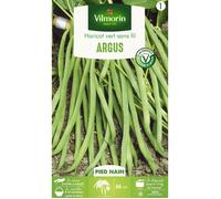 Graine - Vilmorin - Haricot Nain Vert Argus