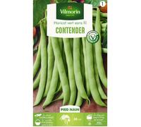Graine - Vilmorin - Haricot Nain Vert Contender