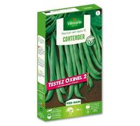 Graine - Vilmorin - Haricot Nain Vert Contender + échantillon Oxinel 2