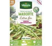 Graine - Vilmorin - Haricot Nain Vert Mascotte - 10 m