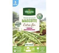 Graine - Vilmorin - Haricot Nain Vert Mascotte - 5 m