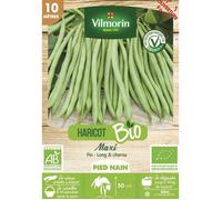 Graine - Vilmorin - Haricot Nain Vert Maxi - 10 m - BIO