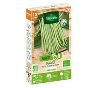 Graine - Vilmorin - Haricot Nain Vert Oxinel 2 - 10 m - BIO